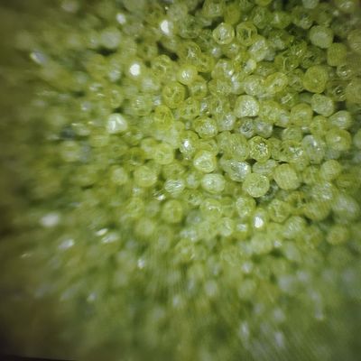 Industrial Rvd Synthetic Diamond Powder for Diamond Tool Manufacturing Efficiency